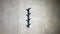 Ramus Coat Rack - Metal Wall Art